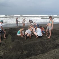 Costa Rica: Turtle Conservation