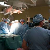 Cardiovascular Surgery placement shadowing
