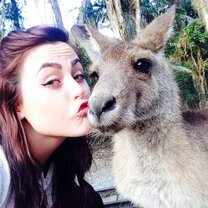 See Aussie wildlife Working Holiday in Australia