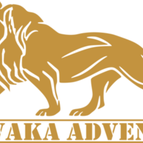 wakawaka Adventures