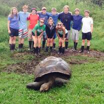 Ecuador Galapagos Tortoise