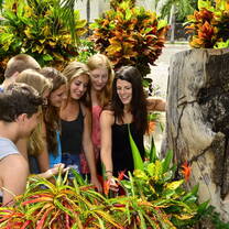 Biology Class in the Monteverde Cloud Forest, Costa Rica