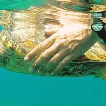 GoBeyond Student Travel - 'Preserving Paradise' Service and Adventure Journey in