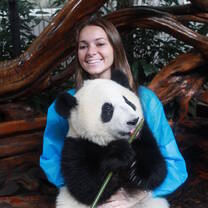 Volunteer at a panda sanctuary in China!