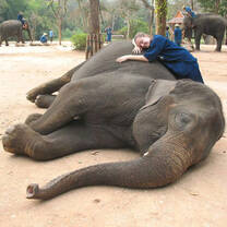YFU High School Study Abroad Program in Thailand