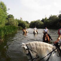 Horse riding across the river