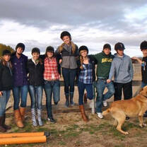 Horse riding lesson in group