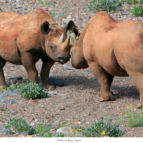 Round River: Study Abroad Differently in Namibia 
