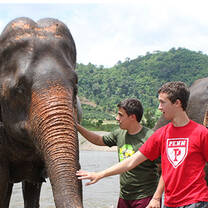 high school students volunteer with elephants on our Thailand Service trip!