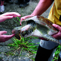 Visiting different ecosystems in Brazil with The Experiment summer abroad