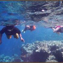 Students snorkel on the reef at beautiful Menjangan Island