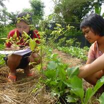 Students help on the farm