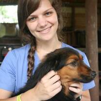 Puerto Rico Veterinary Medicine 12 Day Adventure
