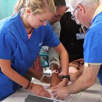 Participant delivering healthcare
