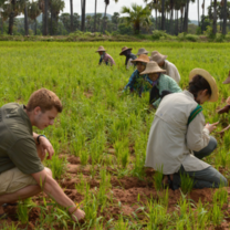 Myanmar Semester: Traditions & Transitions