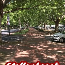 Walking through Stellenbosch, City of Oaks