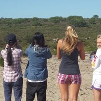 Looking at the zebras 