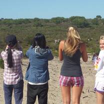 Looking at the zebras 