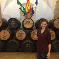 Visiting a winery in Jerez (nearby town)