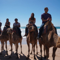 Riding Camels