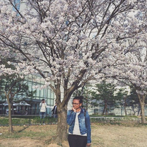 awesome blossom