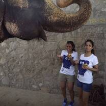 girls feeding elephants in india