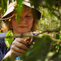 Affordable Volunteer Programs in Guatemala from $320