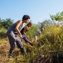 Farming volunteer in Ghana with IVHQ