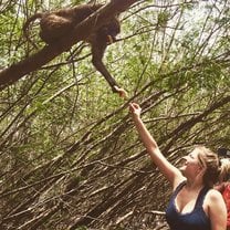 feeding bamboos 