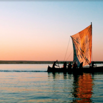 Madagascar: Island of Diversity