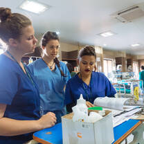 Medical volunteers in Nepal with IVHQ