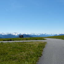Hurricane Ridge at Olympic National Park