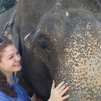 Lishma the elephant