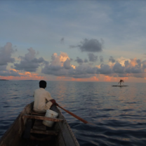 Indonesia Semester: Conservation & Culture in the World's Largest Archipelago