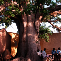 Senegal: Rhythms of West Africa
