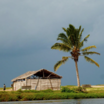 Madagascar Semester: Cultural & Ecological Diversity