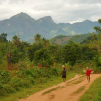 Madagascar Semester: Cultural & Ecological Diversity