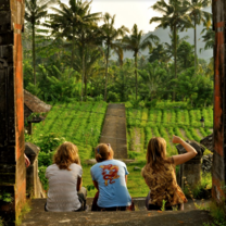 Indonesia Summer: Conservation & Culture in the World's Largest Archipelago
