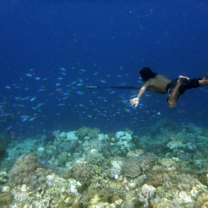 Indonesia Summer: Conservation & Culture in the World's Largest Archipelago