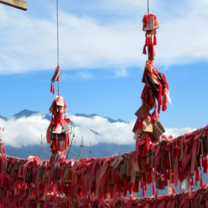 China: A Comprehensive Survey