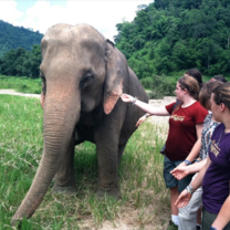 Thailand Summer: Sustainability and Spirituality in the Land of Smiles