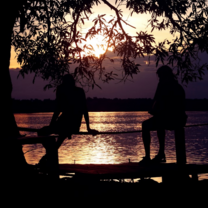 Cambodia: Peace-Building and Conservation