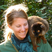 Madagascar: Island of Diversity
