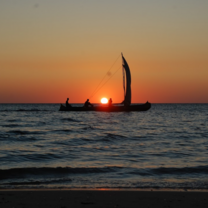 Madagascar: Island of Diversity