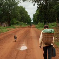 Cambodia: Peace-Building and Conservation