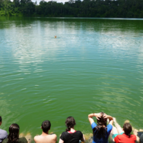 Cambodia: Peace-Building and Conservation