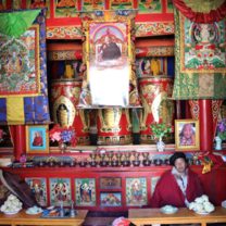 China: The Search for Meaning