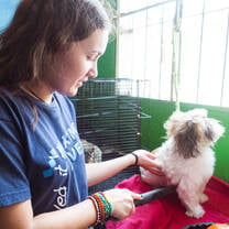 Affordable Volunteer Programs in Guatemala from $320