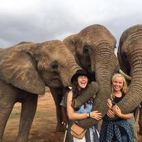 Elephant Bush Walk in South Africa