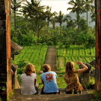 Indonesia Summer: Conservation & Culture in the World's Largest Archipelago